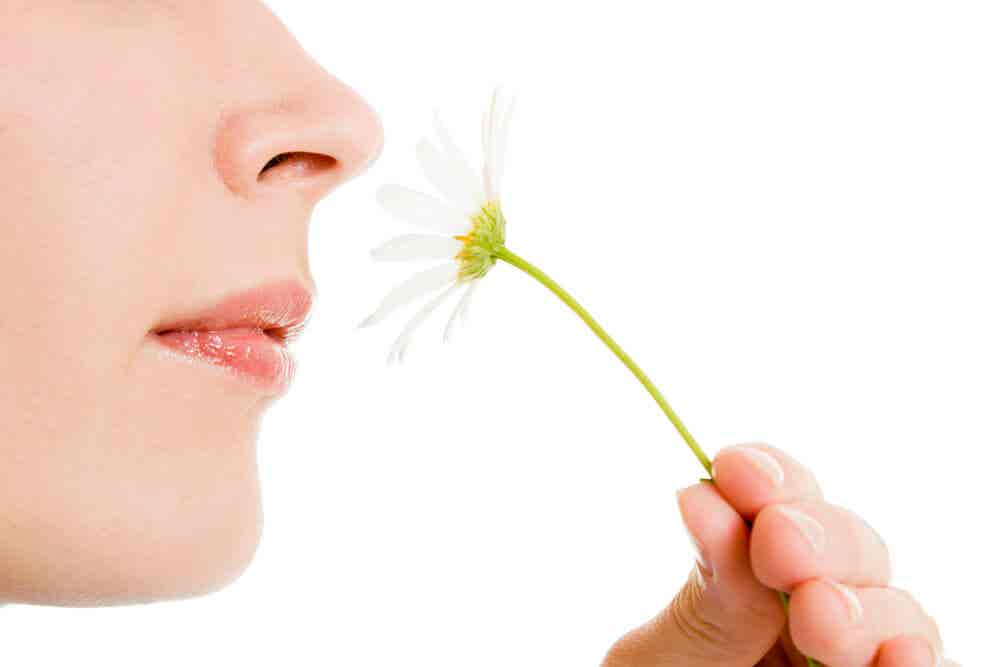 Anosmia o pérdida del olfato