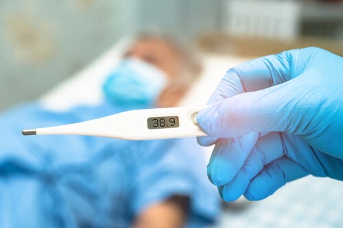 ¿Combatir los síntomas de la septicemia con plantas medicinales?
