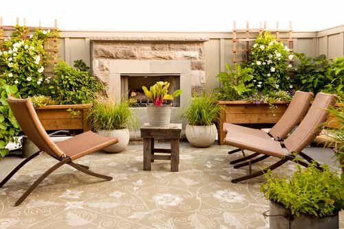 Usa plantas para hacer de tu patio un lugar más agradable