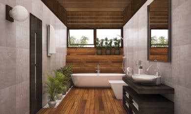 6 plantas para el baño que debes tener