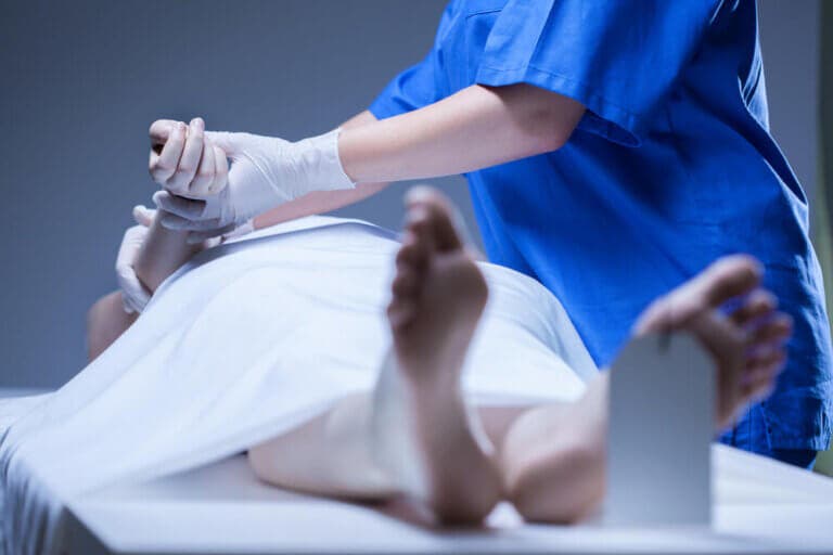 ¿Qué es el algor mortis?