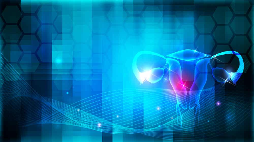 Enfermedades de los ovarios: síntomas y tratamientos