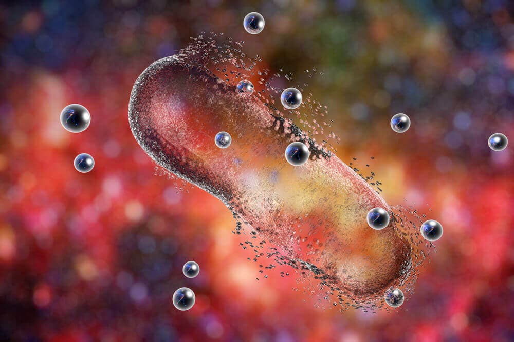 Microorganismos: ciprofloxacino