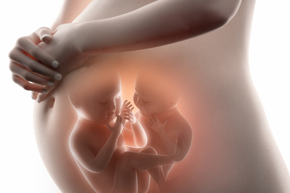 Tripa de embarazada mostrando dos bebés en su interior.