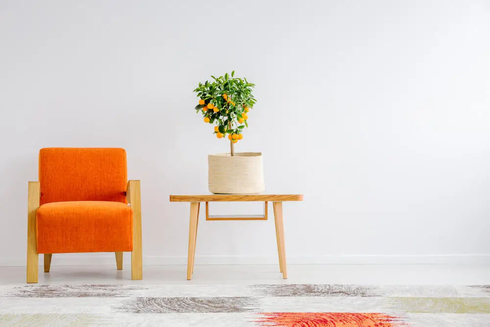 Minimalismo y estilo vanguardista.