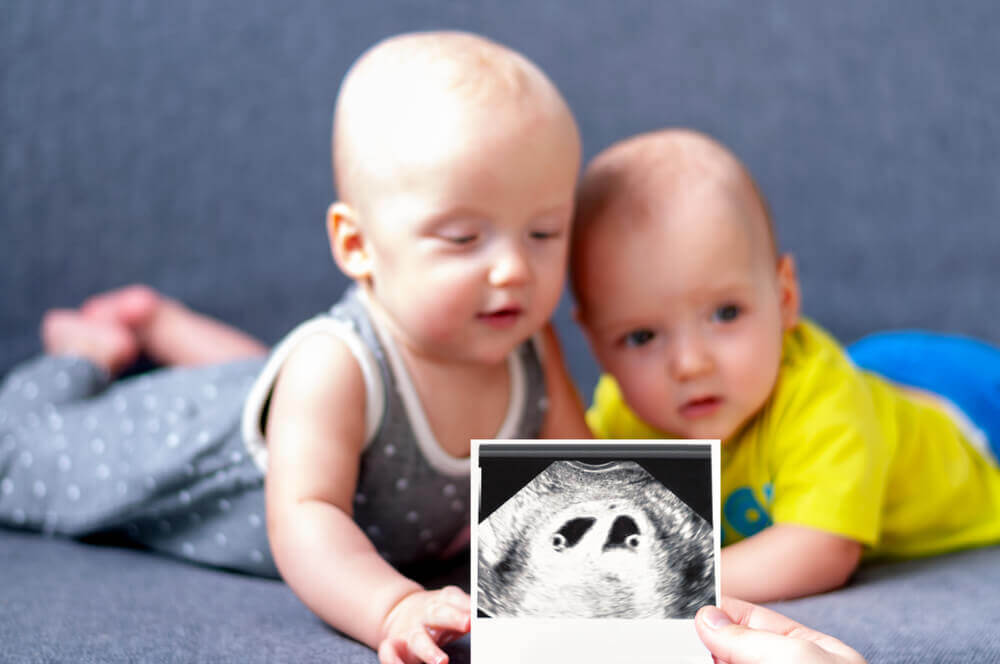 Zwillinge - Babys mit Ultraschallbild