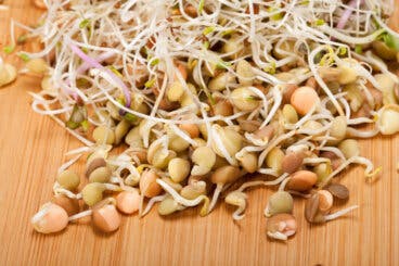 3 recetas saludables con germinados de lenteja