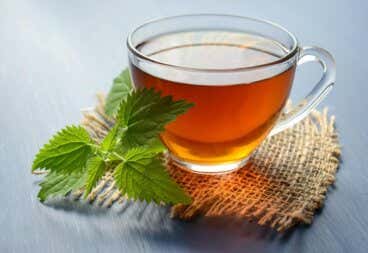 5 bebidas herbales para prevenir cálculos renales