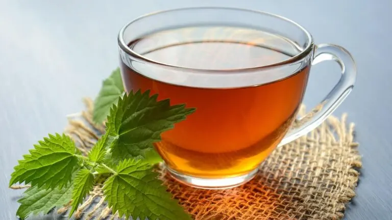 5 bebidas herbales para prevenir cálculos renales