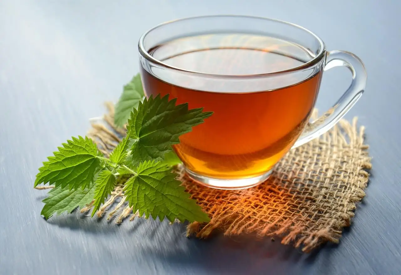 Infusión de menta para prevenir los cálculos renales.