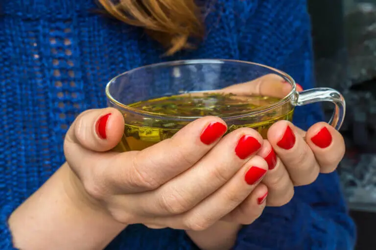 Descubre las mejores infusiones saciantes para perder peso