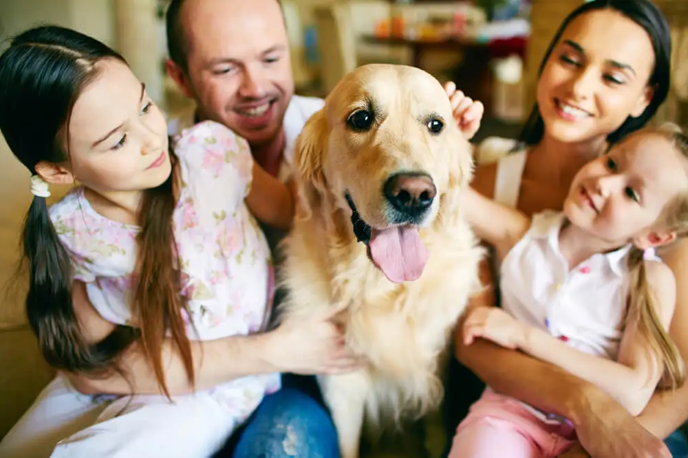Perro en familia.