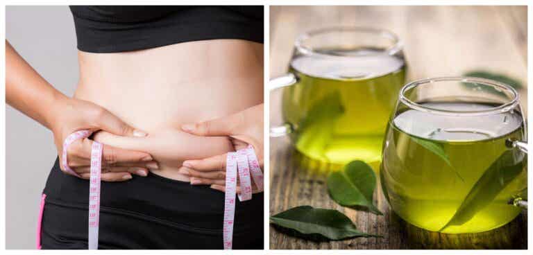 3 maneras de consumir té verde para perder grasa abdominal