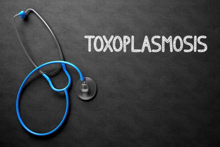 Toxoplasmosis: qué es y cómo tratarla