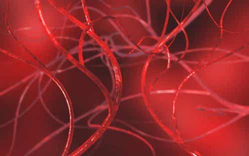 Imagen en 3D de vasos sanguíneos varicocele