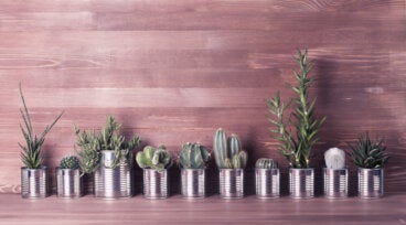 3 ingeniosas ideas para reciclar latas de aluminio