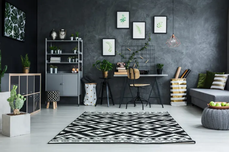 5 plantas para espacios con poca luz