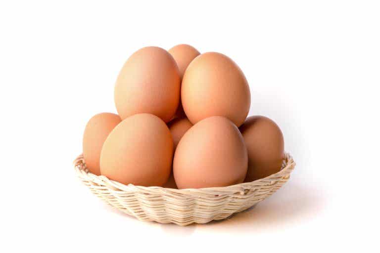 ¿Qué huevos son mejores para la dieta? ¿marrones o blancos?