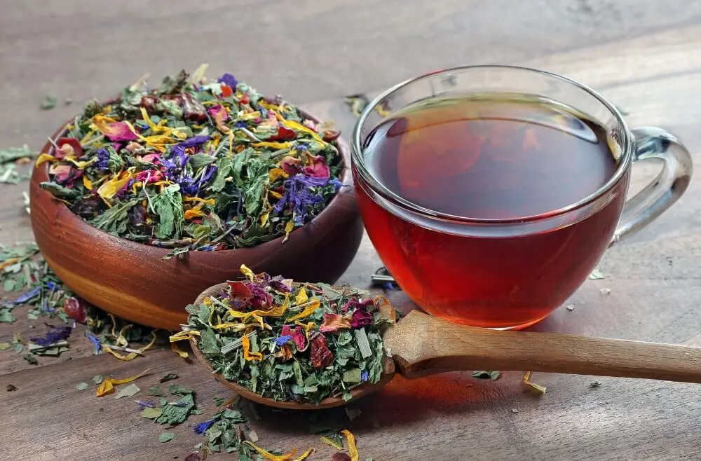 infusion de mauve