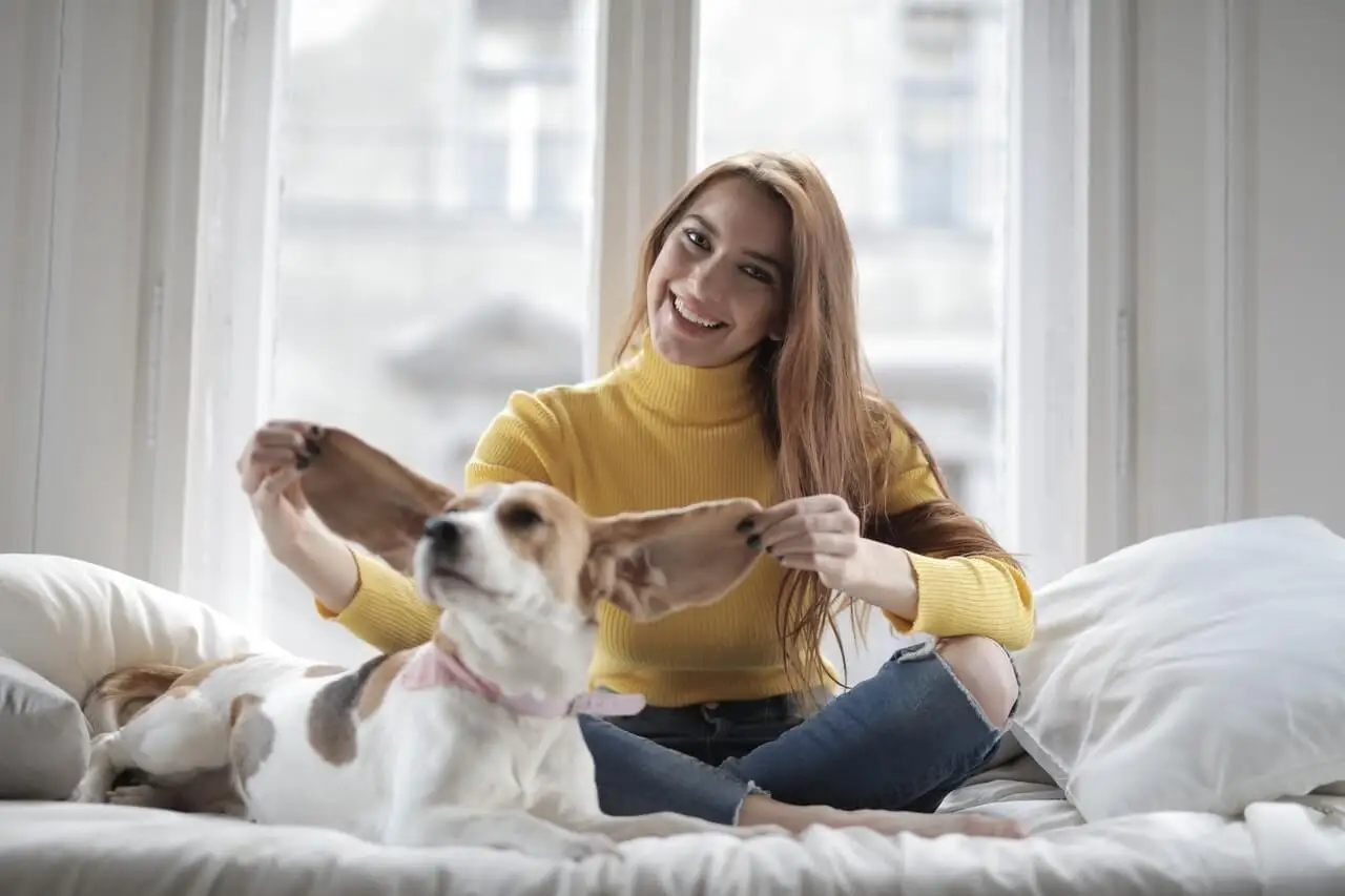 Perro en la cama.