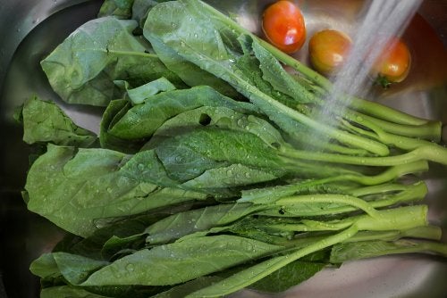 Por qué se debe desinfectar y no solo lavar las verduras y las frutas
