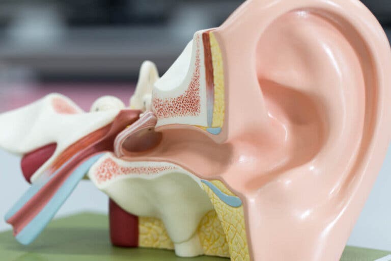 Perforación timpánica: causas y tratamientos