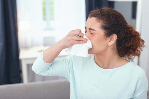 ¿Tienes congestión nasal? Dile adiós con estos 7 remedios con plantas