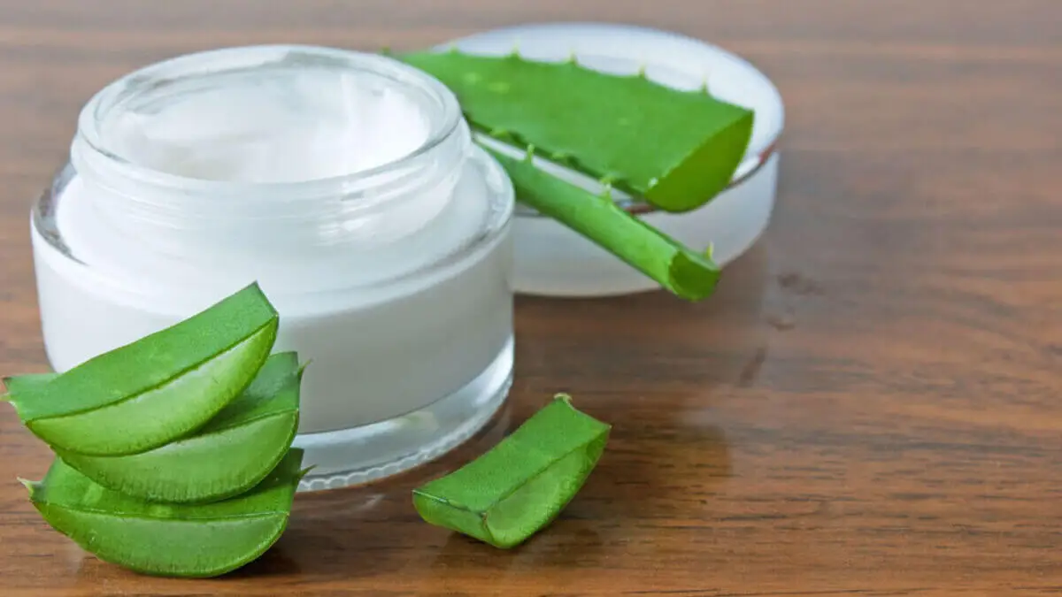 Crema regeneradora de aloe vera muy fácil de preparar.