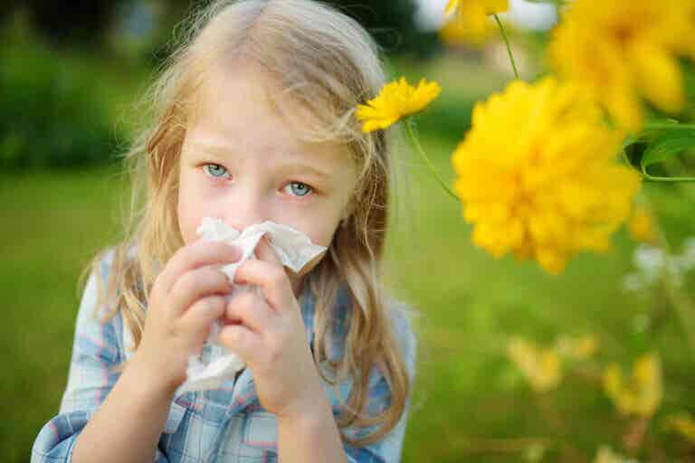 5 remedios herbales para combatir la rinitis alérgica