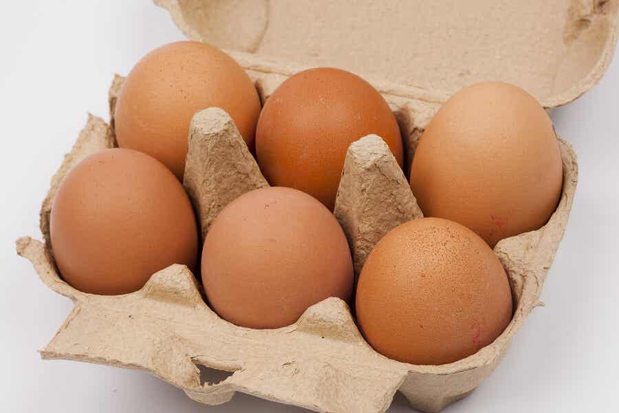consumo diario de huevos