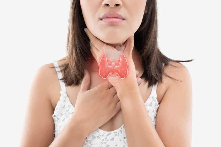 Cuidar la tiroides: la alimentación que la favorece