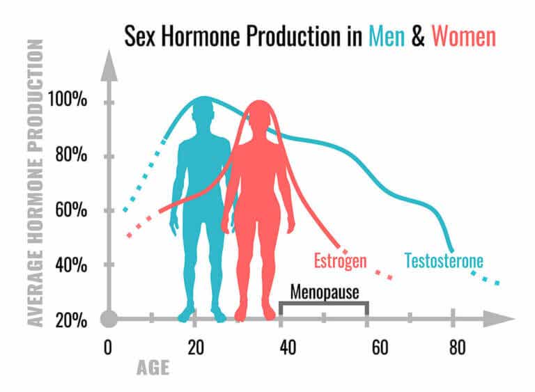 ¿Cuáles son las funciones de las hormonas sexuales?