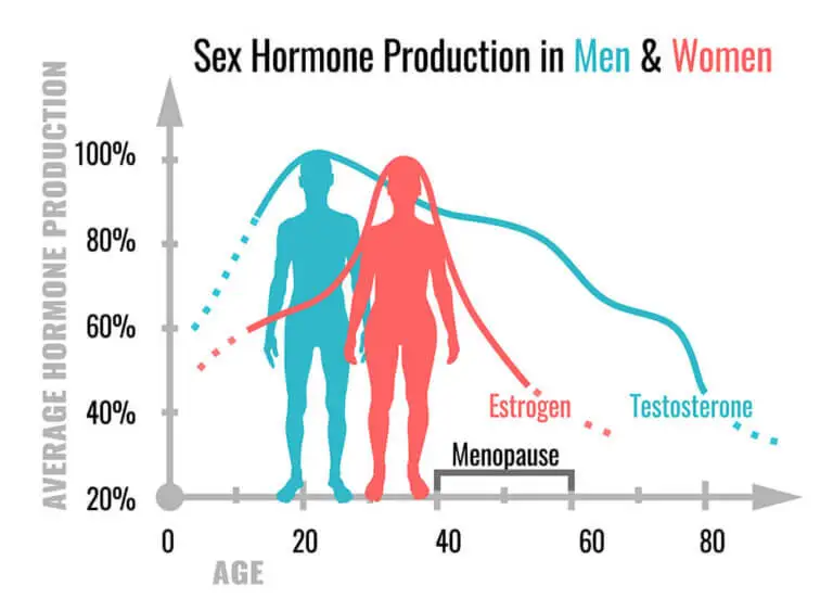 ¿Cuáles son las funciones de las hormonas sexuales?