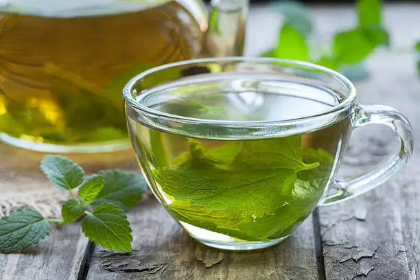 Infusión de menta