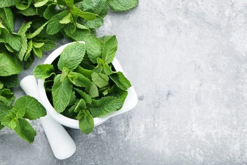 3 soluciones con menta para los problemas digestivos