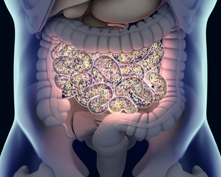 Microbiota
