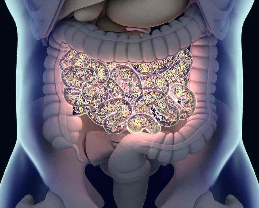 Microbioma intestinal