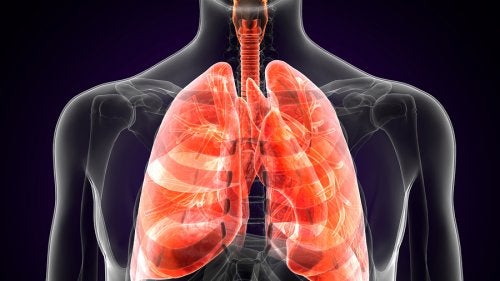 Qué es la peste pulmonar y cuáles son sus síntomas