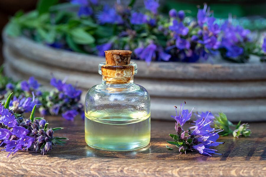 Aceite de la planta de hisopo.