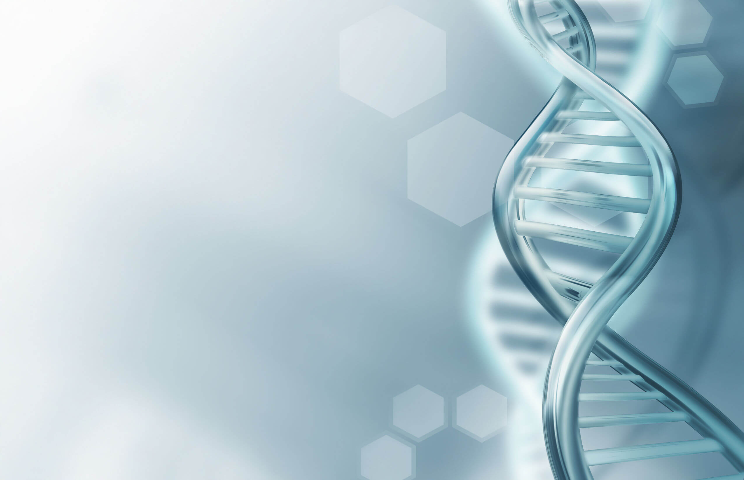 Todo lo que debes saber acerca del ADN