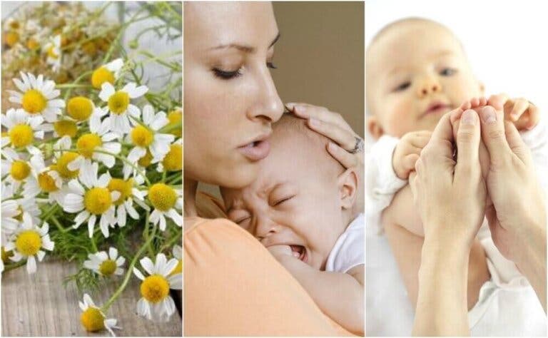 5 remedios naturales para los cólicos del lactante
