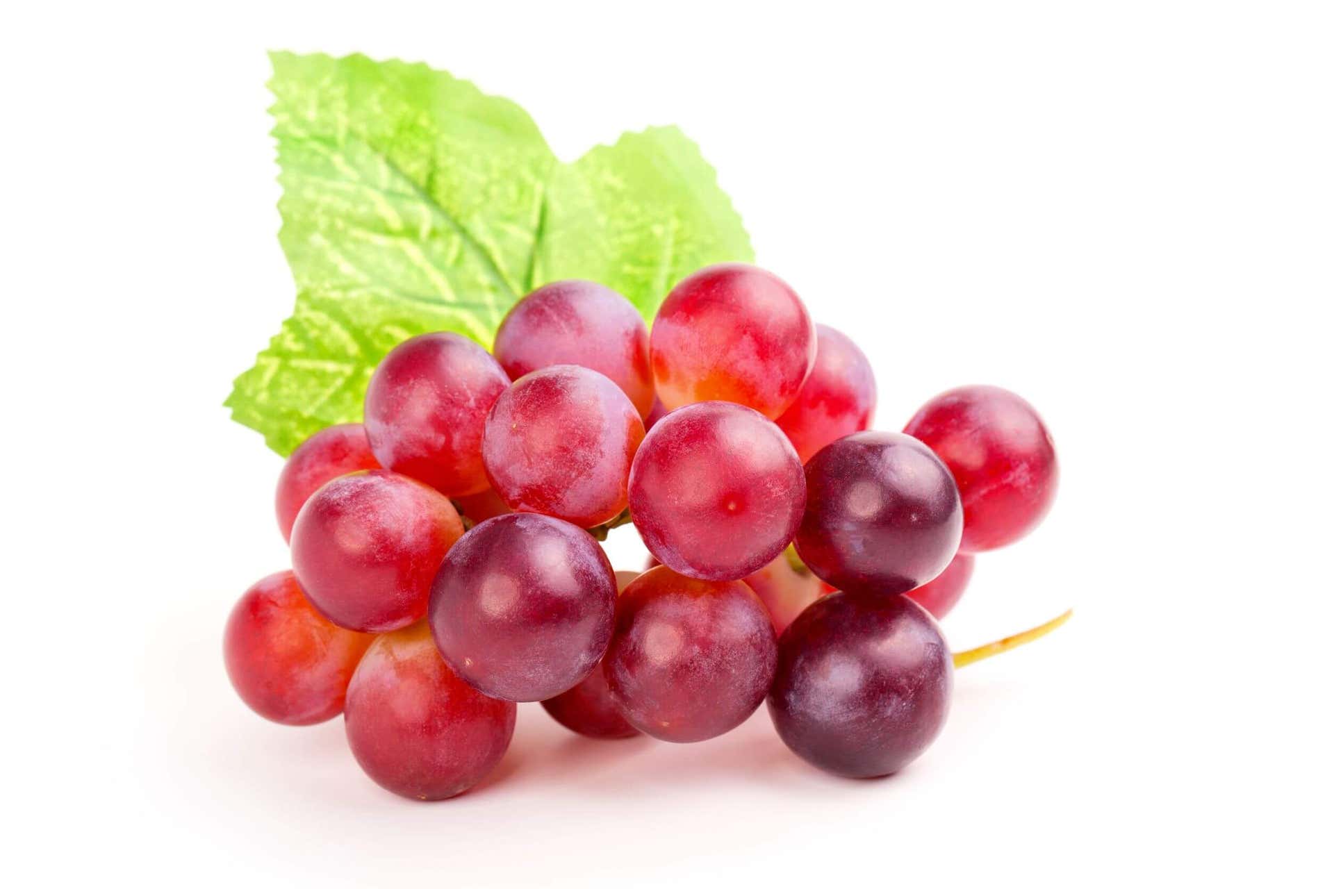 Las uvas son excelentes para hacer jugos rojos.