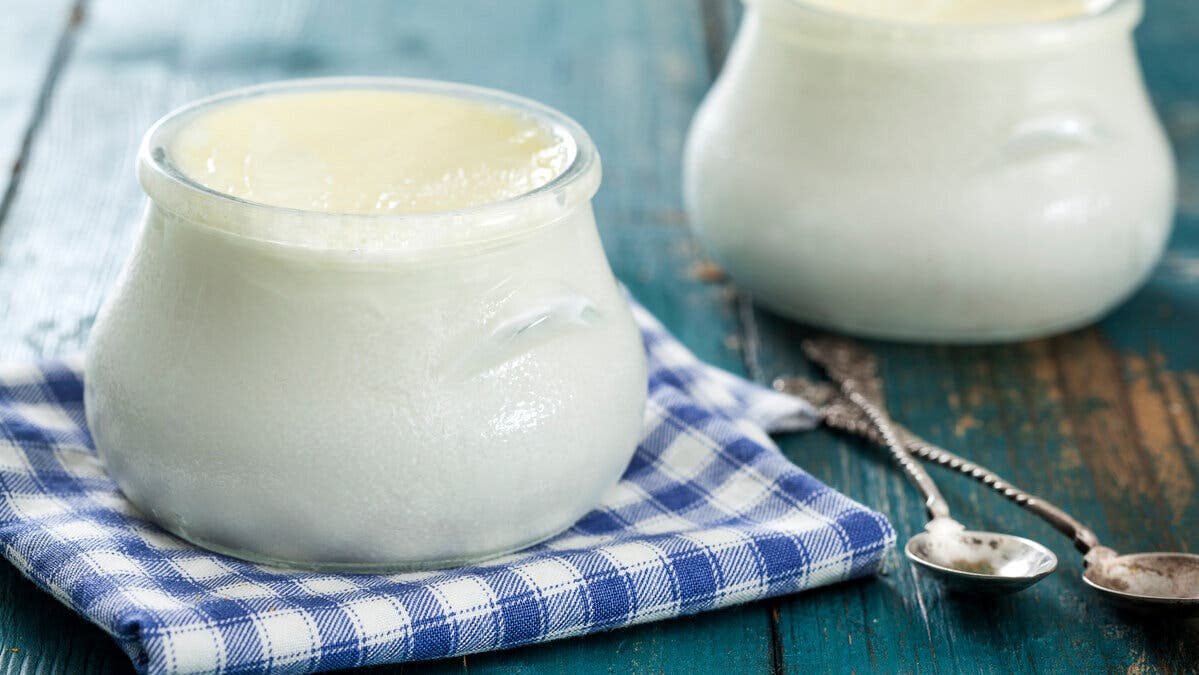 Yogur natural.