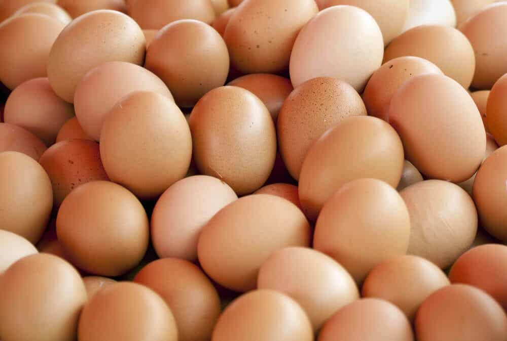 Aufbaunahrung - Eier