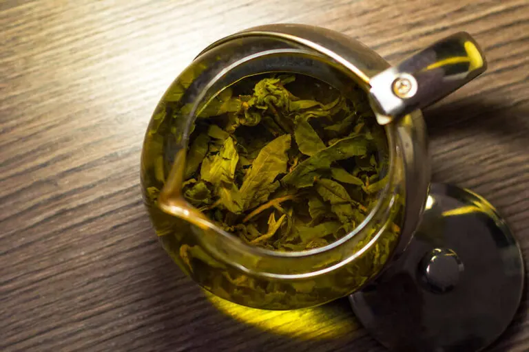 Mejores remedios naturales para el hígado graso