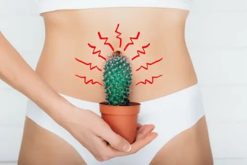 Mujer con cactus en el abdomen