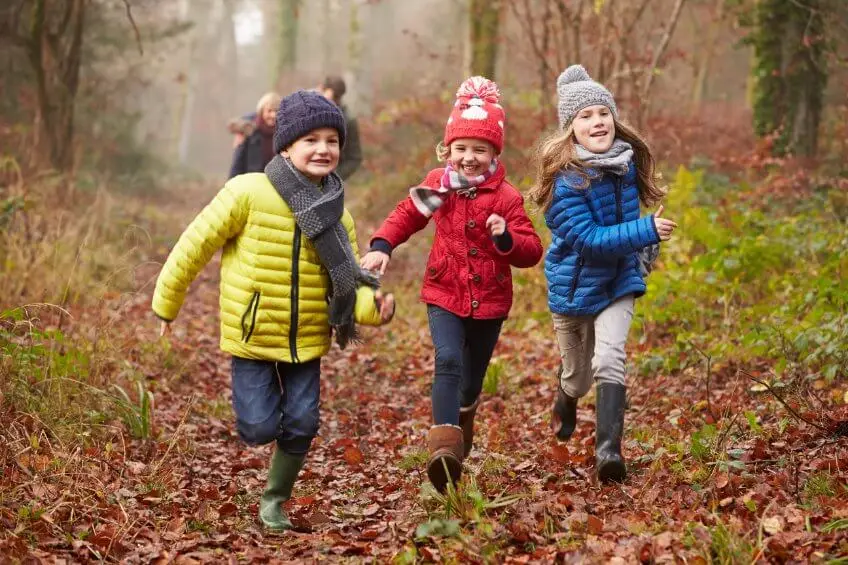 Cosas para hacer en otoño