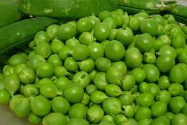 Proteína de guisante: valor nutricional y beneficios