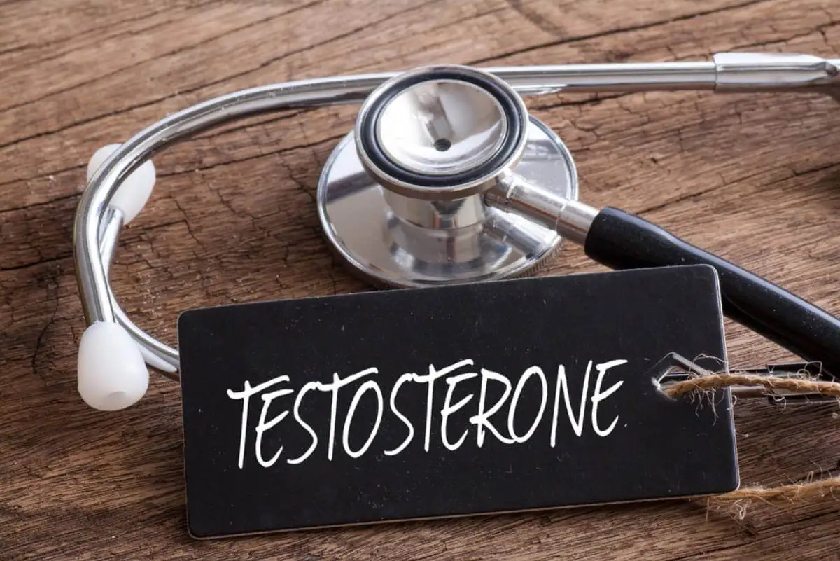 Testosterona