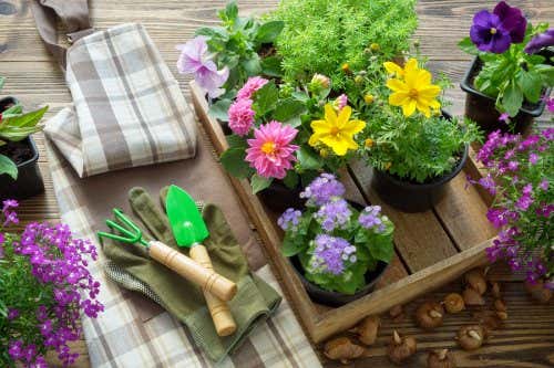Materiales de jardinería y flores
